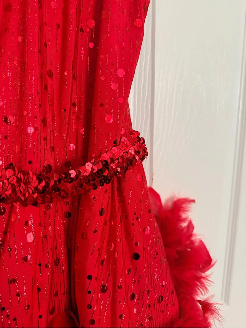 Red Sequin Feather Trim Girls' Costume Dress with Bow